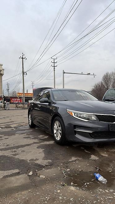аренда kia optima: Kia Optima: 2017 г., 2.4 л, Автомат, Бензин, Седан — 6
