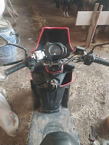 Скутеры: Год 2025 at lalafo.kg — 9 Скутеры: Год 2025 — 9