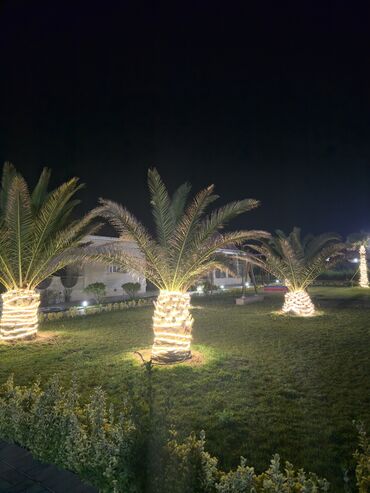 Həyət evləri və villaların satışı: 3 otaqlı, 999 kv. m — 9