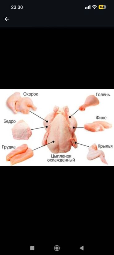 купить кур несушек оптом: Куриная филе по оптовым и розничным ценам Китай Куриное филе(грудка