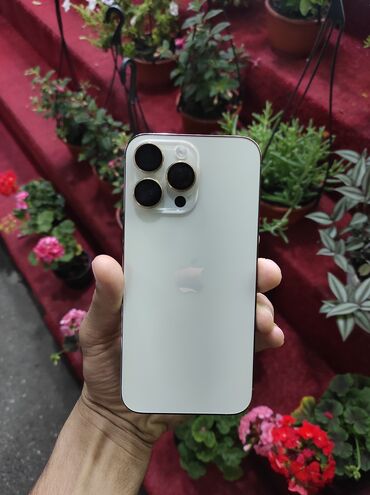 iphone 12 adapter qiymeti: IPhone 14 Pro Max, 256 GB, Qızılı, Zəmanət, Face ID