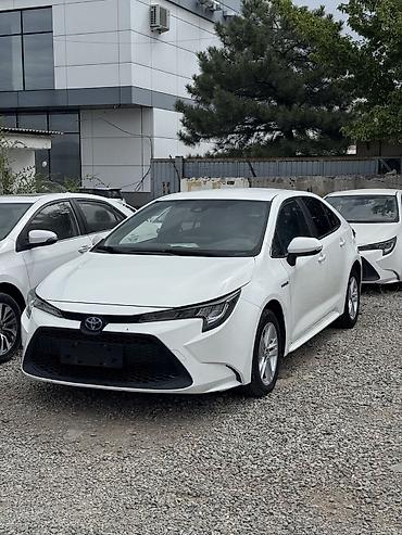 Унаа сатуу: Toyota Levin: 2021 г., 1.8 л, Вариатор, Гибрид, Седан — 1