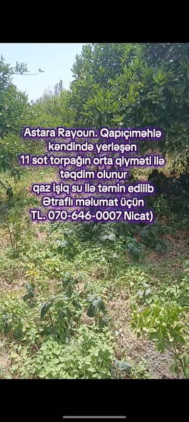 Kirayə torpaq sahələri: 11 sot, Kənd təsərrüfatı