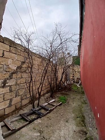 Həyət evləri və villaların satışı: 3 otaqlı, 100 kv. m — 2