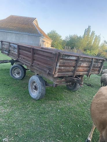 Traktorlar: Belarus MTZ traktoru tekerleri teze matoru teze yiglib akmiyatoru — 11