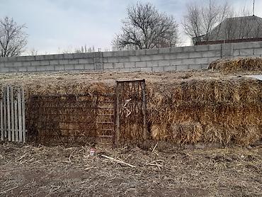 кой сойу: Чирик саман сатылат стройкага кирпич куйганга Токмокто — 3
