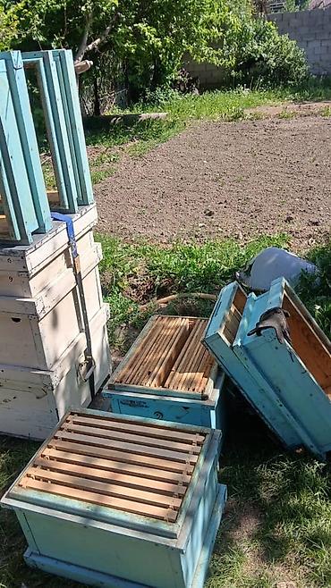 кунай минато: Нуклеус двухкорпусный Каждый корпус по 8 рамок и того 16 рамок — 4