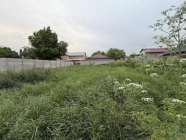 Жер тилкелери: 6 соток, Кызыл китеп, Сатып алуу-сатуу келишими — 5