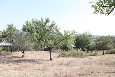 Torpaq sahələrinin satışı: 2000 sot, Tikinti, Mülkiyyətçi, Kupça (Çıxarış), Bələdiyyə -da lalafo.az — 21 Torpaq sahələrinin satışı: 2000 sot, Tikinti, Mülkiyyətçi, Kupça (Çıxarış), Bələdiyyə — 21