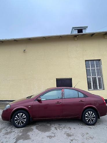 Nissan: Nissan Primera: 2002 г., 1.8 л, Механика, Бензин, Седан — 4