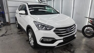 hyundai santa fe 2: Hyundai Santa Fe: 2017 г., 2 л, Автомат, Дизель, Кроссовер