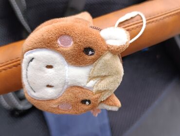 Kolica za bebe: Prodajem decija kolica Babies Smiloo, bez ostecenja, kupljena u — 9