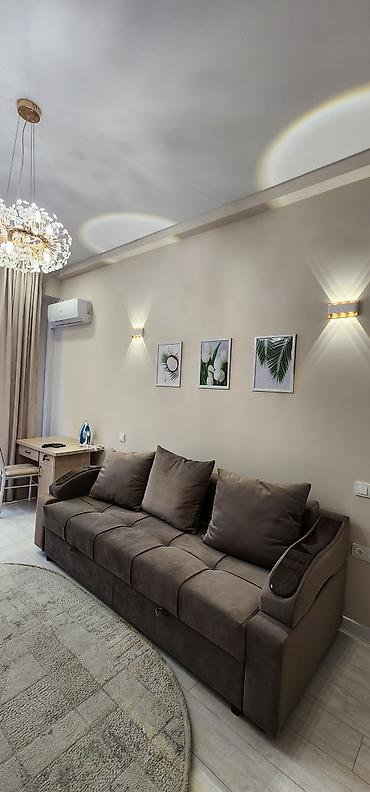 Долгосрочная аренда квартир: 1 комната, Собственник, С мебелью полностью — 4