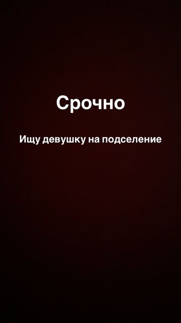 квартиру двух комнатную: 2 бөлмө, Менчик ээси, Чогуу жашоо менен, Толугу менен эмереги бар