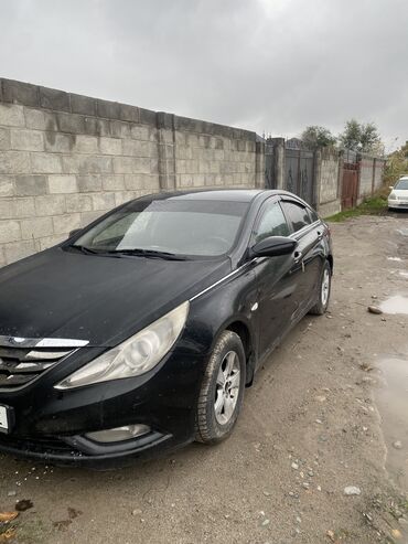 Hyundai: Hyundai Sonata: 2010 г., 0.2 л, Автомат, Бензин, Седан