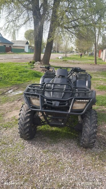 Квадроциклы: Квадроцикл Бензин, 320 куб. см, Взрослый