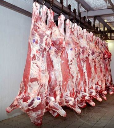 раздел мясо: Уйдун эти : 10 кг ашык