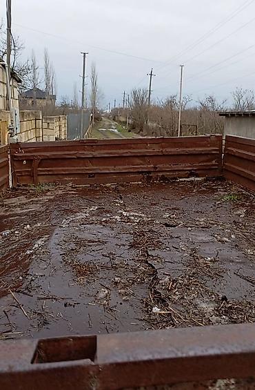 Lapetlər: SƏNƏDİ YOXDU — 5