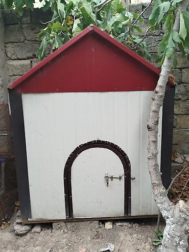 heyvanlar itler: Metaldan yığılan it evi/bala daxması - Material: möhkəm metal — 1