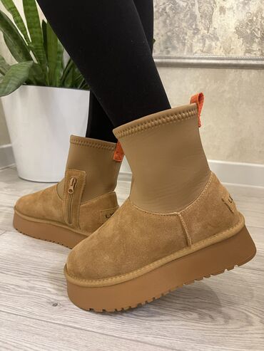 домашняя обувь: Угги, 40, UGG, Новый, Бесплатная доставка