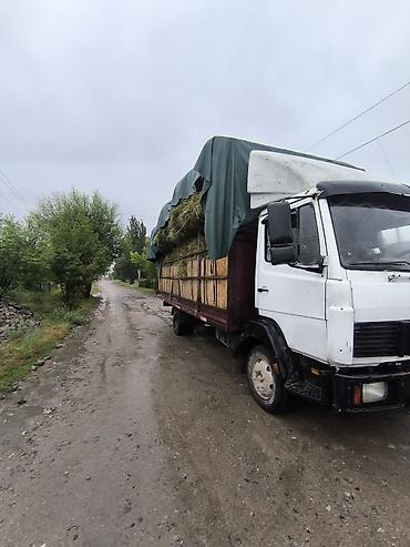 Mercedes-Benz : 1985 г., 6 л, Механика, Дизель, Бус