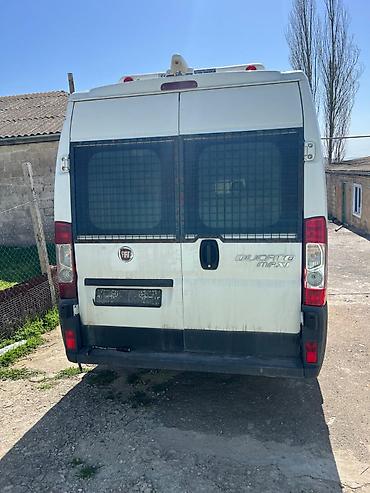 batinka hərbi: Fiat Ducato: 2.3 l | 2012 il 180000 km Van body type — 2