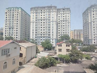 Квартиры: 3 комнаты, Новостройка, 94 м² — 10