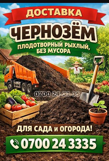 баран живой: Чернозём плодотворный рыхлый без мусора. ЗИЛ доставка — 1