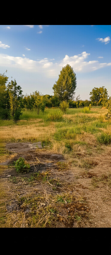 Torpaq sahələrinin satışı: 18 sot, Kənd təsərrüfatı, Mülkiyyətçi, Kupça (Çıxarış), Texniki pasport — 1