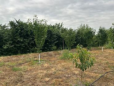 ev satisi gəncə: 3 otaqlı, 115 kv. m, Yeni təmirli — 9