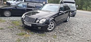 Mercedes-Benz: Mercedes-Benz E-Class: 2008 г., Автомат, Универсал — 11