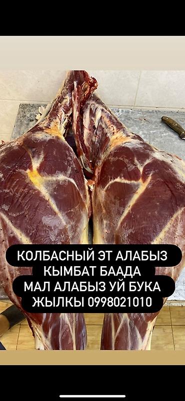 яйца биг 6: Свежие полутуши и отруба для колбасного производства. - Вид мяса — 1