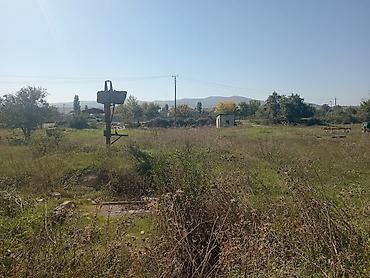 Torpaq: Biznes üçün — 6