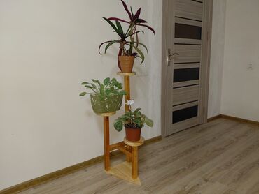 Bitkilər üçün dibçəklər: Taxta bitki stendləri və saksı dayaqları - Material: təbii ağac. Açıq — 21