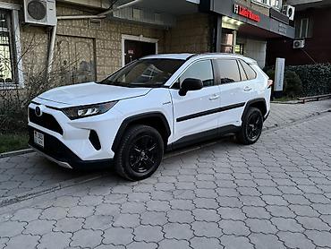 Toyota: Toyota RAV4: 2019 г., 2.5 л, Гибрид, Кроссовер — 1