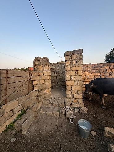 Torpaq sahələrinin satışı: Kənd təsərrüfatı, Mülkiyyətçi -da lalafo.az — 12 Torpaq sahələrinin satışı: Kənd təsərrüfatı, Mülkiyyətçi — 12