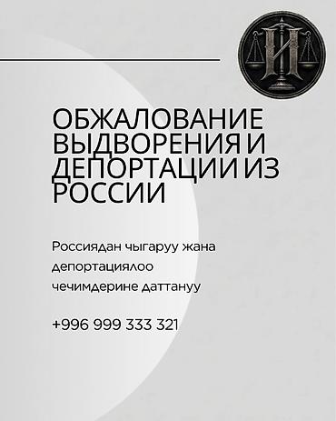 Обжалование выдворения и депортации из России Если вынесено