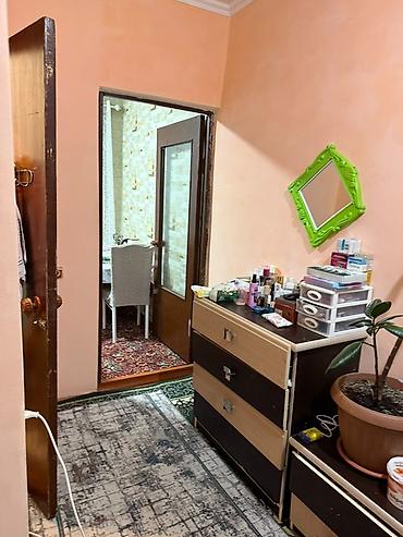 ош кв сниму: 35 м², С мебелью полностью — 3