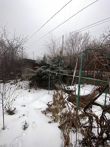 Продажа участков: 9 соток, Красная книга at lalafo.kg — 20 Продажа участков: 9 соток, Красная книга — 20