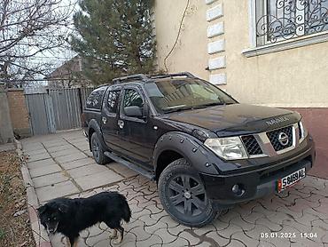range river: Nissan Navara: 2006 г., Пикап — 5