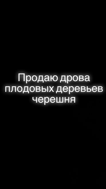 автомойку продаю: Дрова Самовывоз