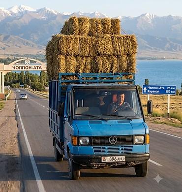 мини трактор япон: Грузовик, Mercedes-Benz, Стандарт, 3 т, Б/у — 6
