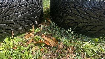 185 65 р14: Шины 165 / 70 / R 14, Зима, Новый, Легковые, Dunlop — 2