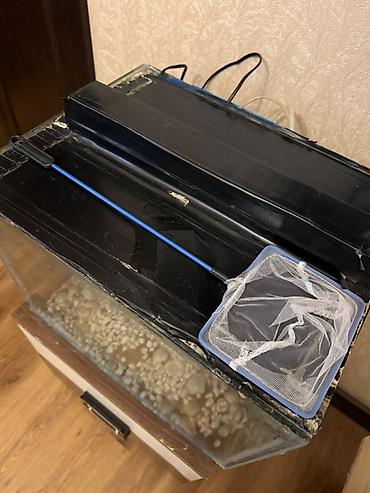 100 l akvarium: Dördbucaq akvarium, Boş, 42 l — 5