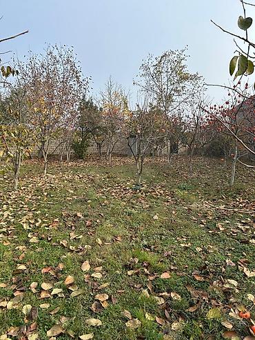 Torpaq sahələrinin satışı: Tikinti — 18
