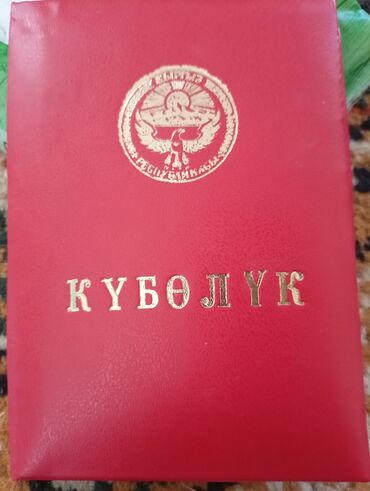 работу няня сиделки: Бала бакчаларга башталгыч класстарга комуз уйротконго кружокторго