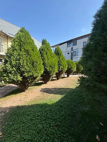 советская ахунбаева: 250 м², 6 комнат и более, ул. Кара-Дарыя, Семейным — 10