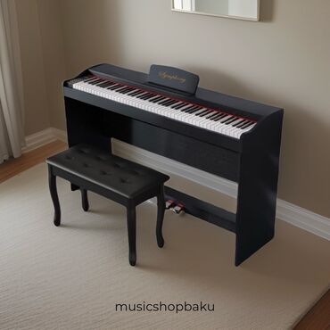 Pianolar: Piano, Rəqəmsal, Yeni — 2