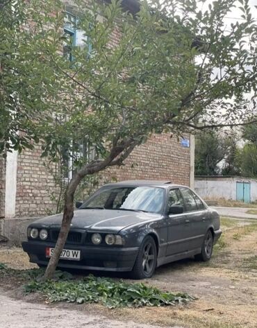 е34 м5 купить: BMW 525: 1993 г., 2.5 л, Механика, Бензин, Седан