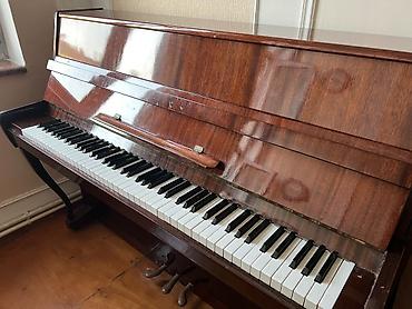 ronisch piano: Şverik sxemli vertikal piano – “СЮЙТА” (Suite) modeli - Korpus — 3